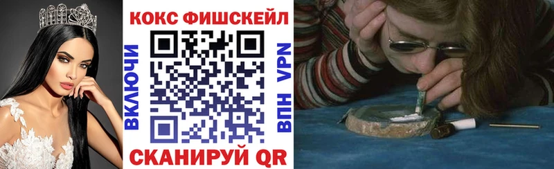 Купить закладки  Майский  COCAIN Fish Scale 